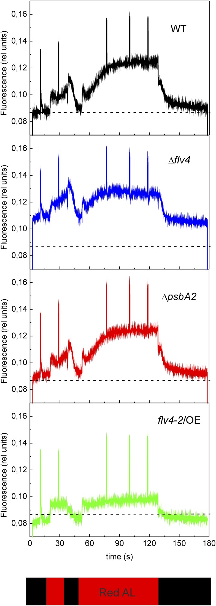 Figure 6.