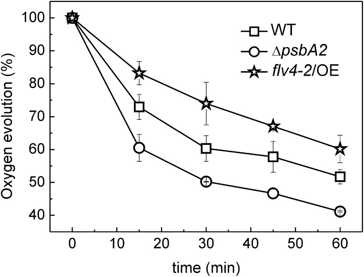 Figure 5.