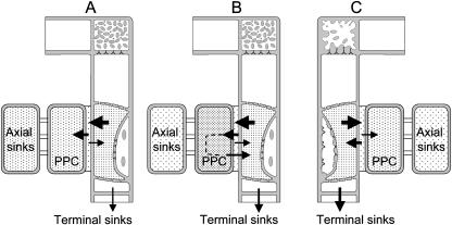 Figure 9.