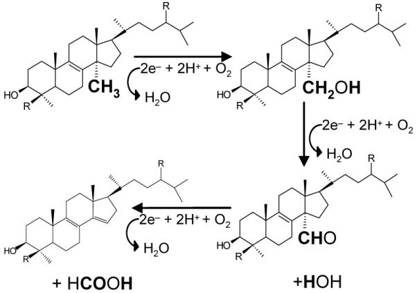 Scheme 1