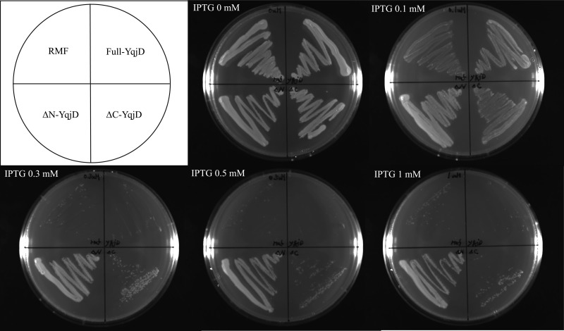 Fig 4