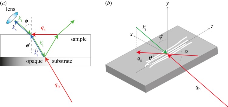 Figure 2.