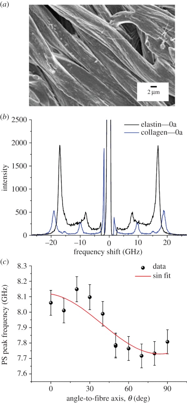 Figure 5.