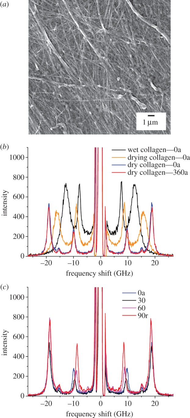 Figure 3.