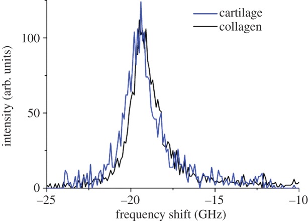 Figure 10.