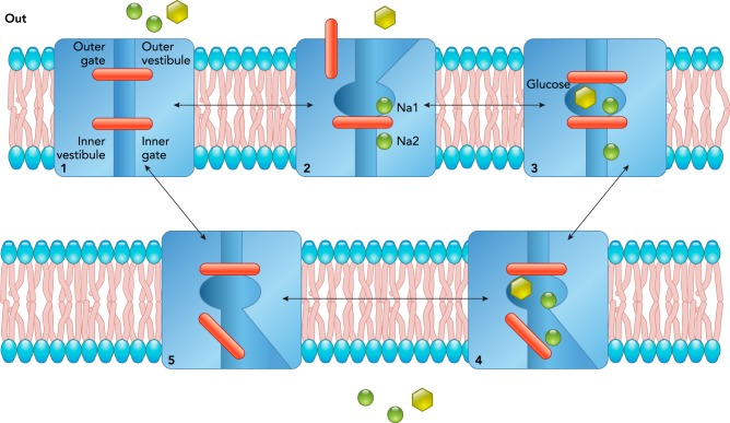 FIGURE 2.