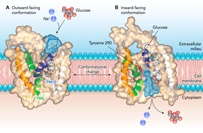 FIGURE 1.