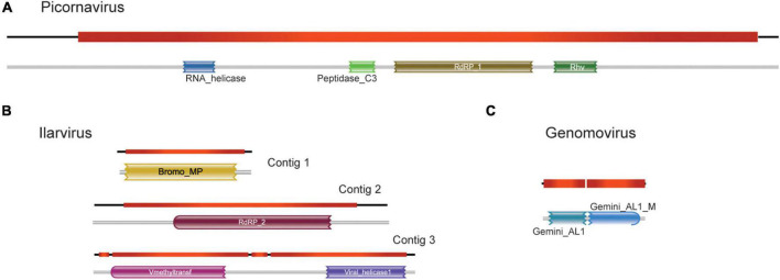 FIGURE 3