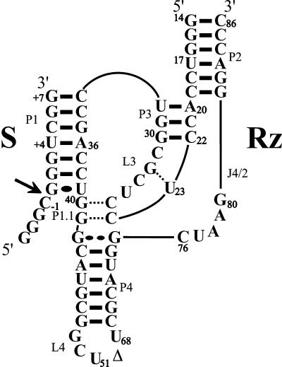 FIGURE 1.