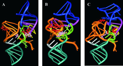 FIGURE 7.