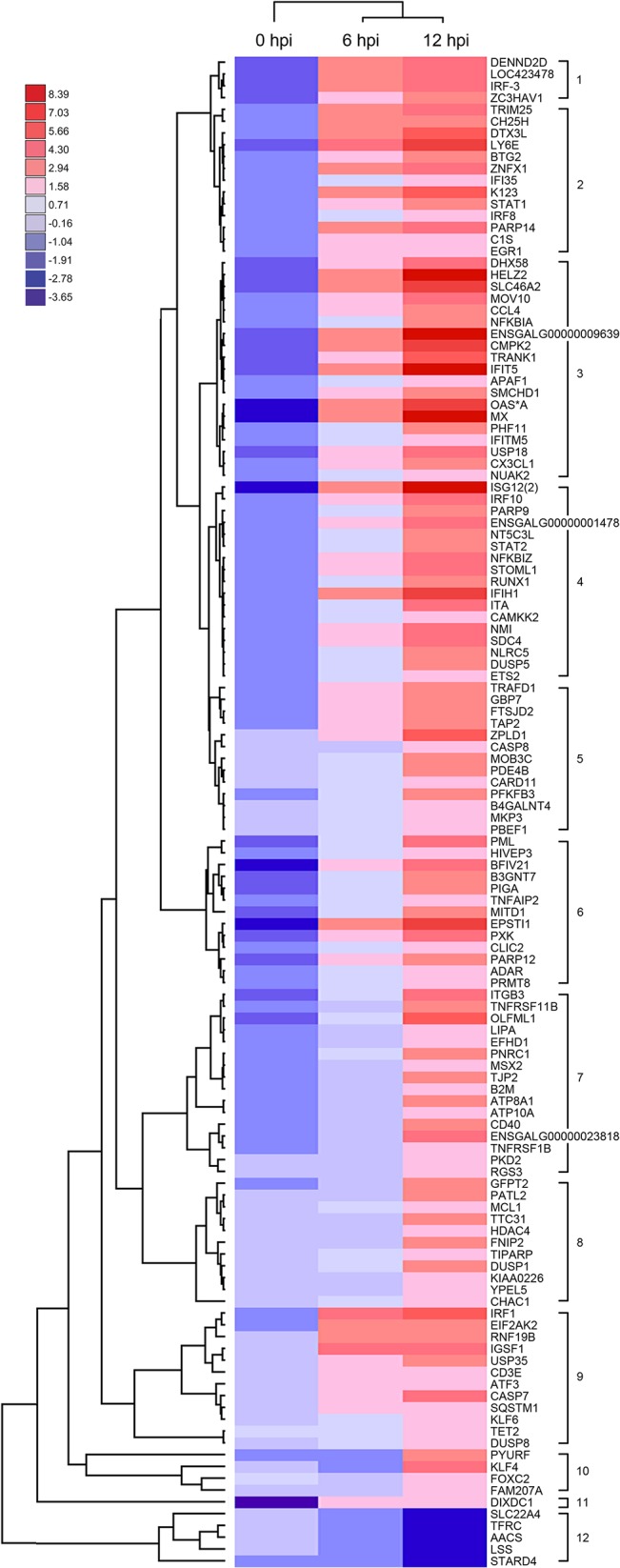 Fig 5