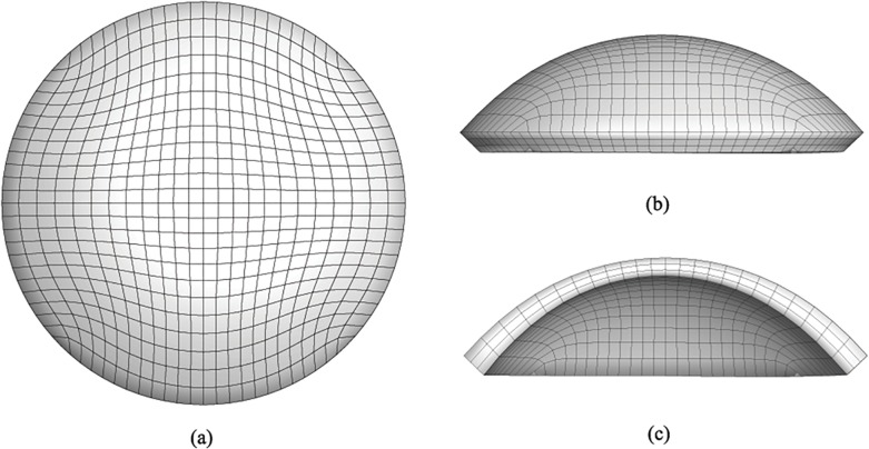 Fig 6