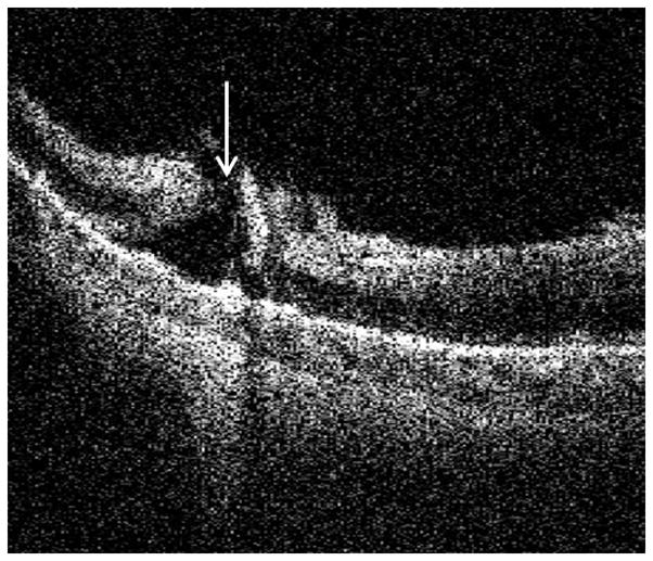 Fig. 6