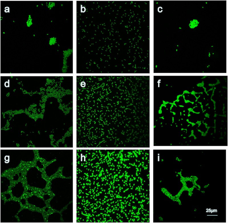 FIG 6