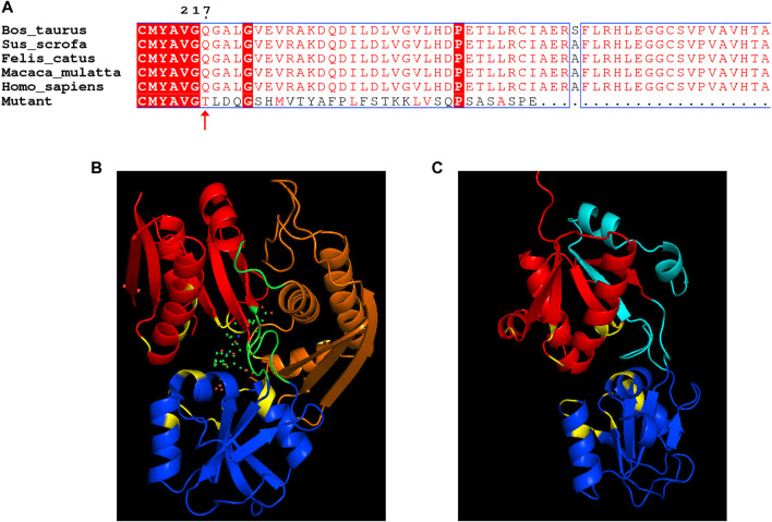 FIGURE 3