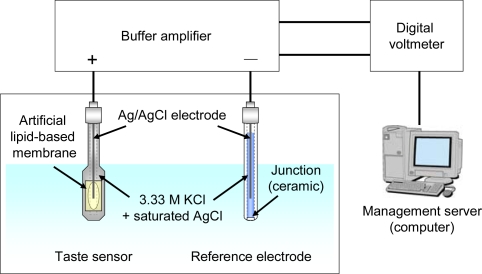 Figure 3.