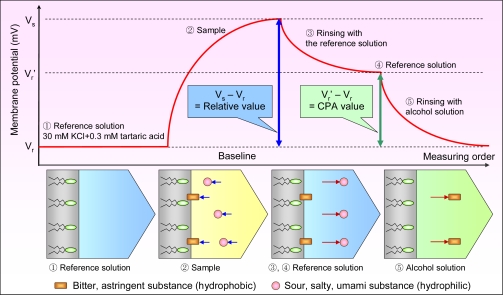 Figure 6.