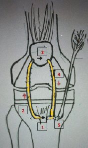 Figure 8
