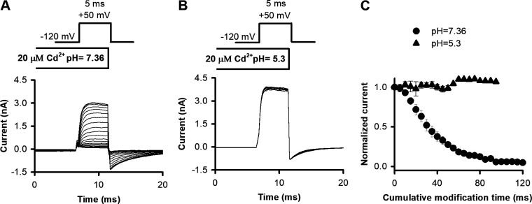 Figure 9.