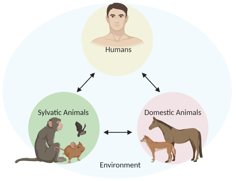 Figure 2