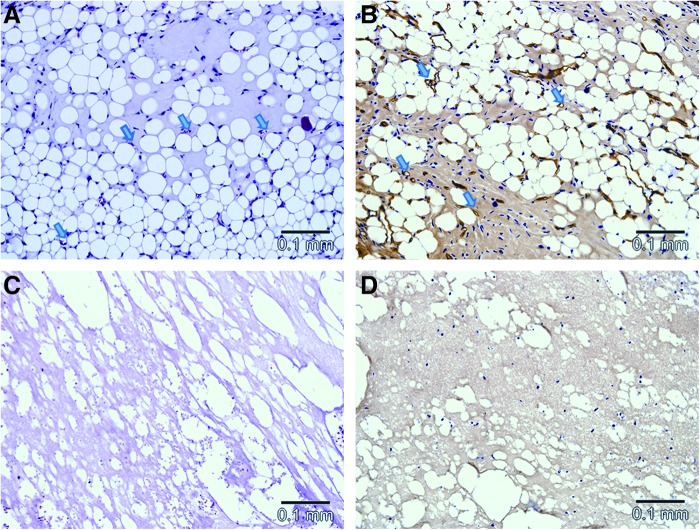 FIG. 9.