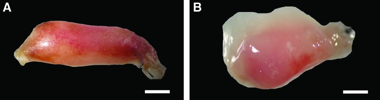 FIG. 8.