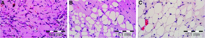 FIG. 6.