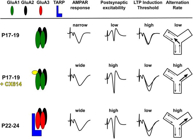 Figure 11.