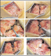 Fig.3