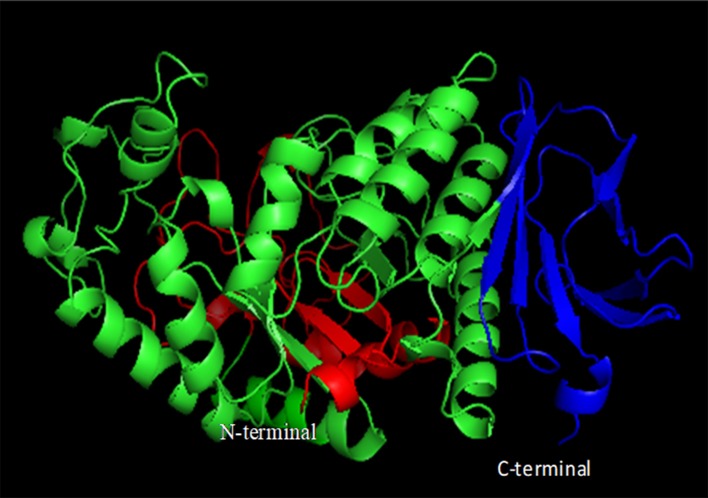 Figure 6