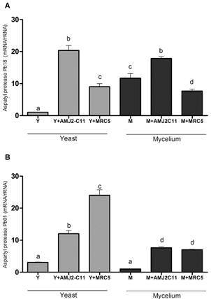 Fig. 4: