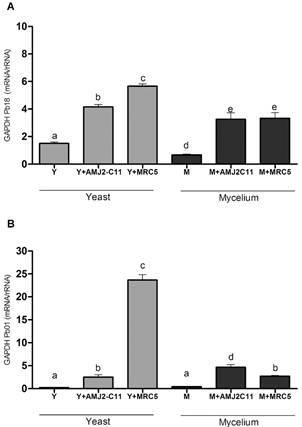 Fig. 5: