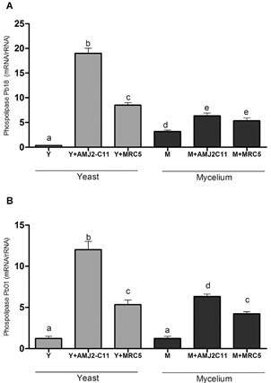 Fig. 3: