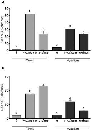 Fig. 6: