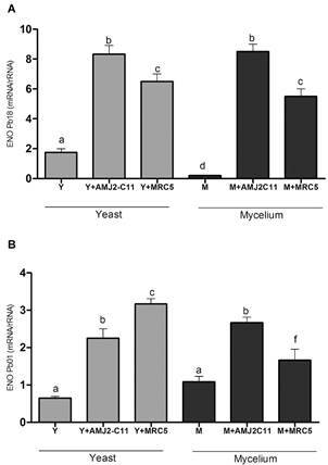 Fig. 2: