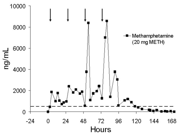 FIGURE 11