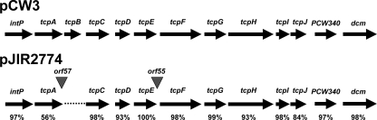 FIG. 2.