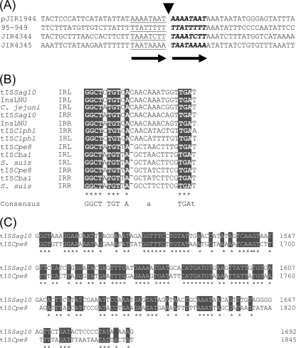 FIG. 4.