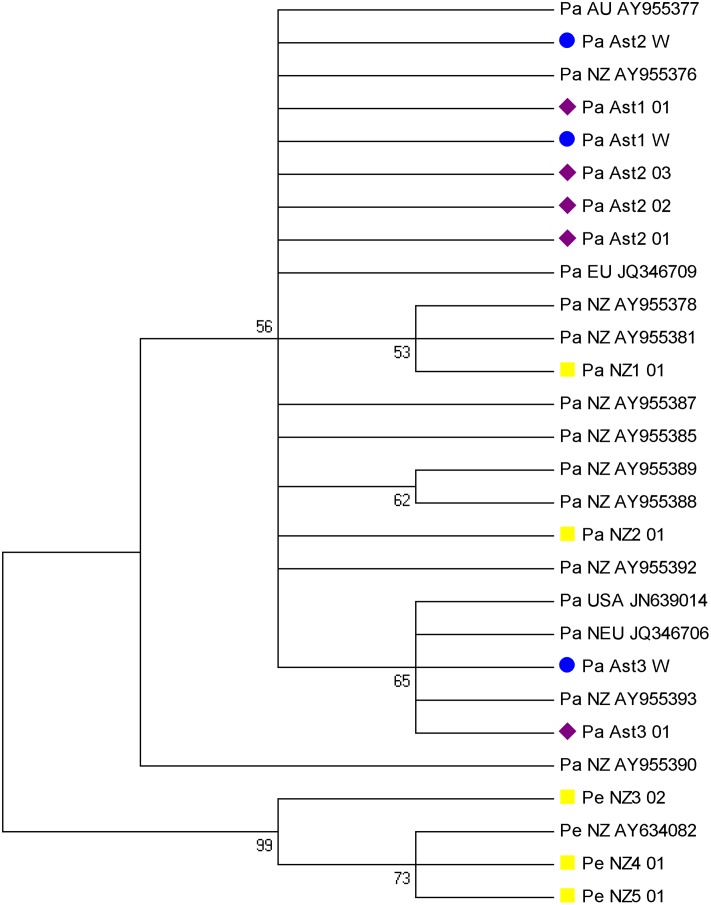 Fig 5