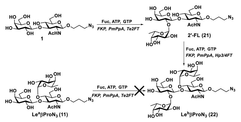 Scheme 2