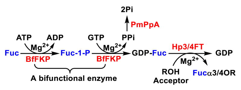 Scheme 1