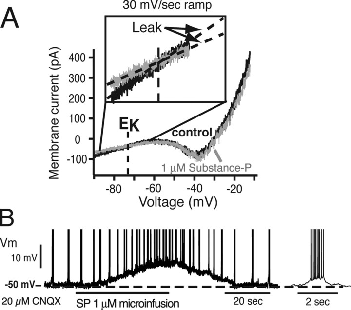 Figure 11.