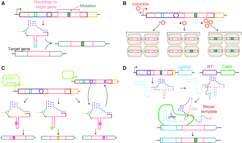 Figure 4.