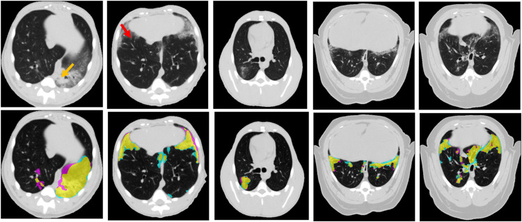 Fig 2