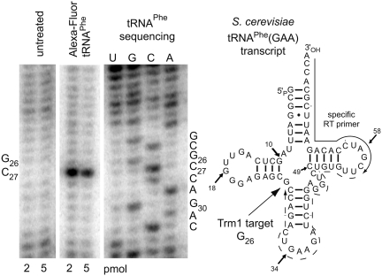 Figure 5.