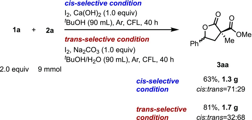 Scheme 5