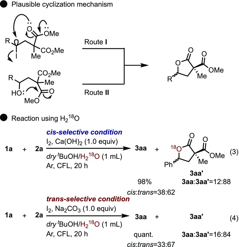 Scheme 10