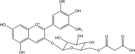 Fig. 2