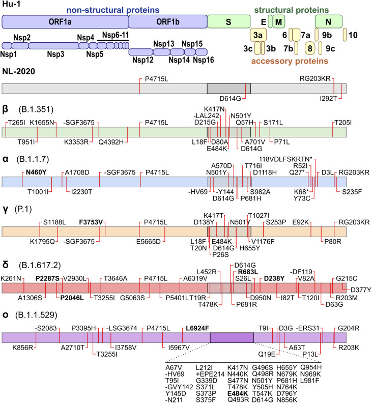 Figure S1.