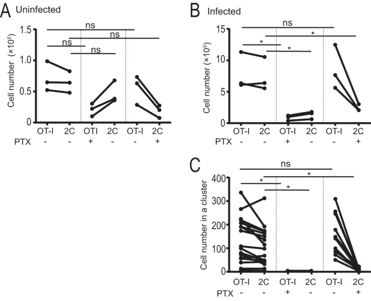 FIG 2